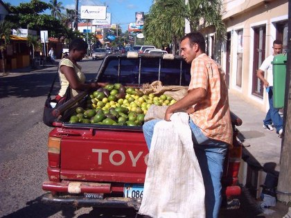 Cabarete frische Fr�chte