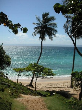 Cayo Levantado 16