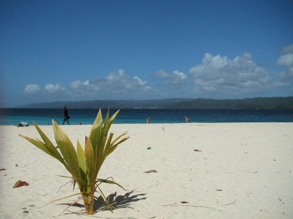 Cayo Levantado 6