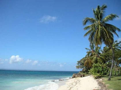 Cayo Levantado 7