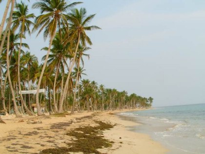 Las Terrenas 10