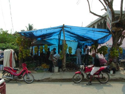 Las Terrenas 21