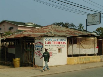 Las Terrenas 25